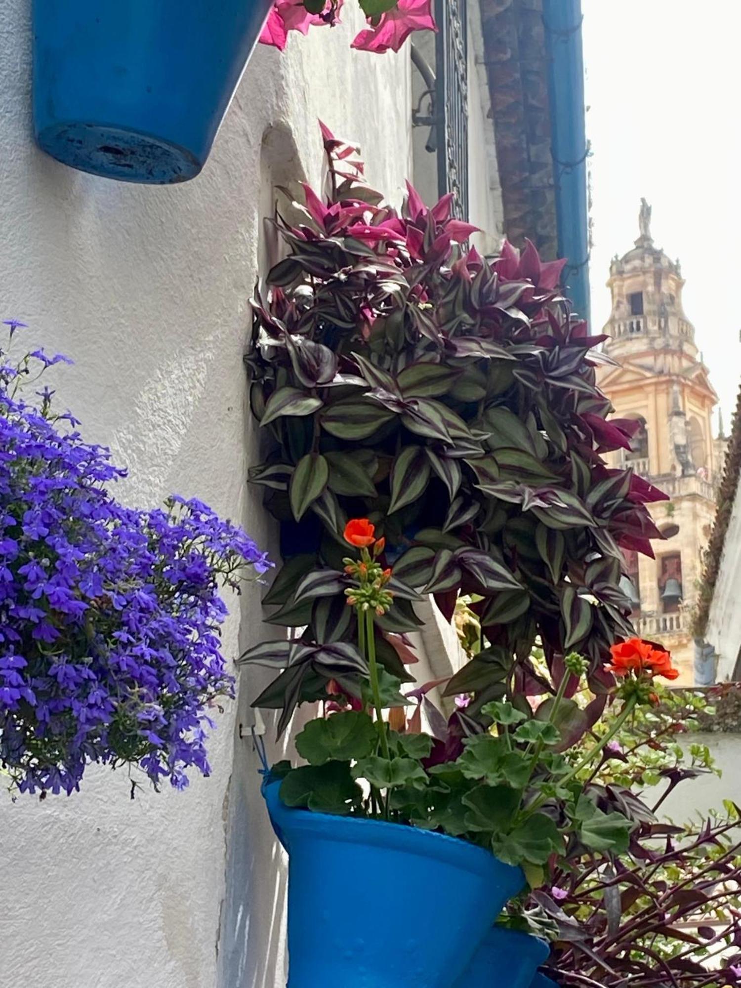 La Buganvilla De Santiago Кордова Экстерьер фото