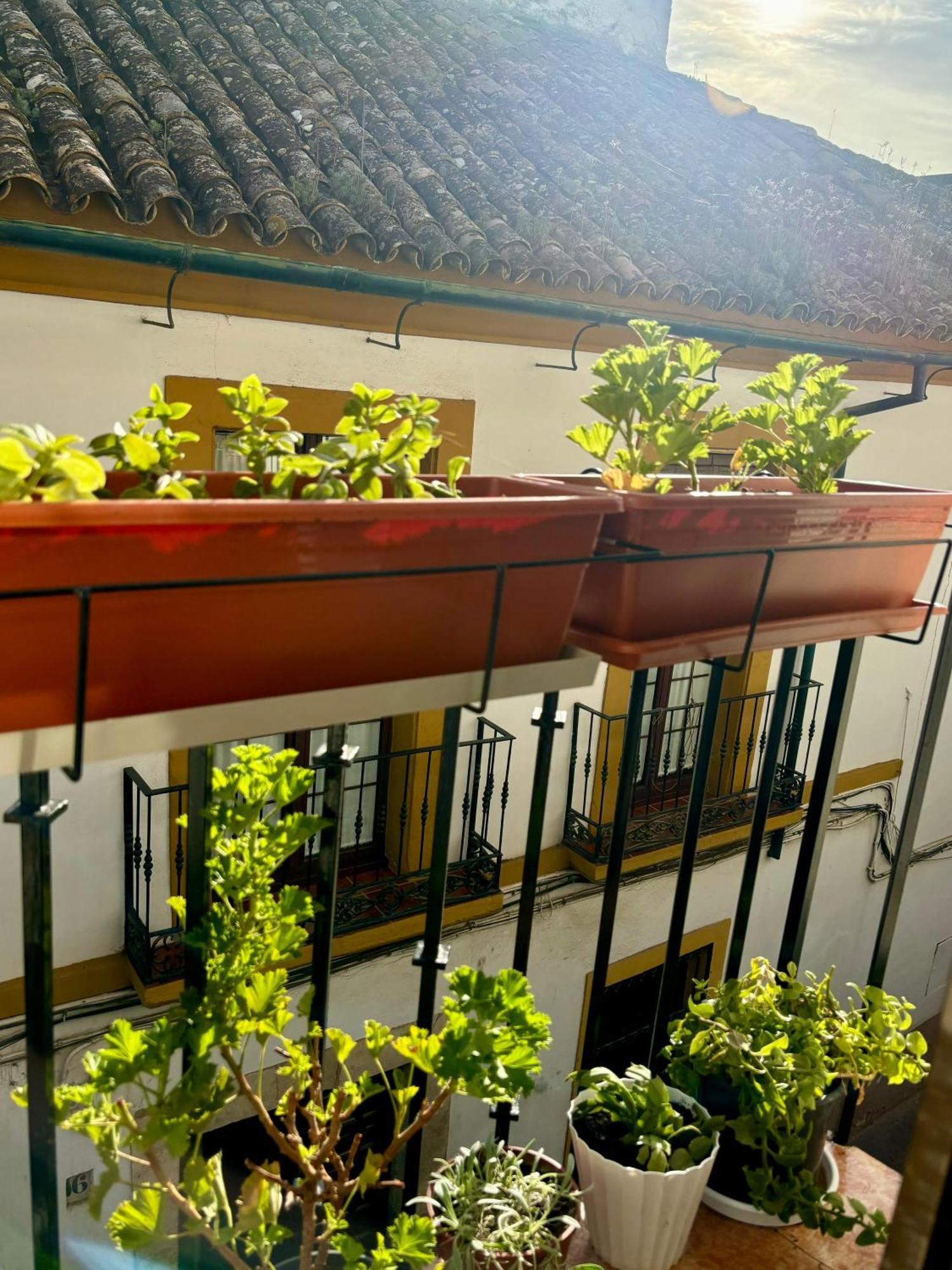 La Buganvilla De Santiago Кордова Экстерьер фото