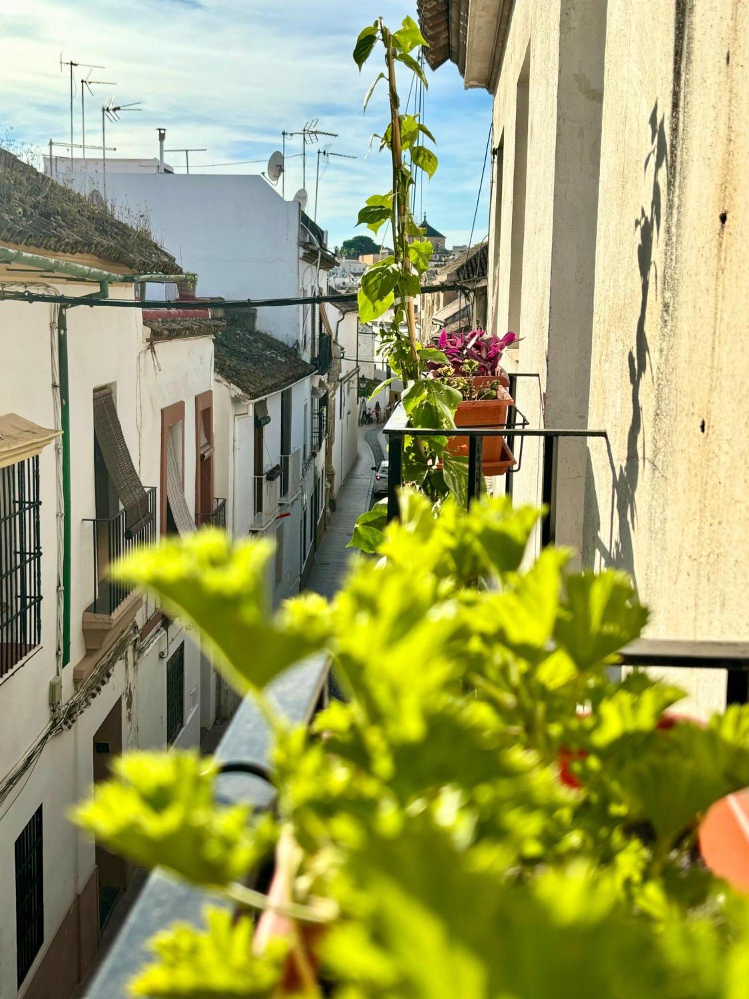 La Buganvilla De Santiago Кордова Экстерьер фото